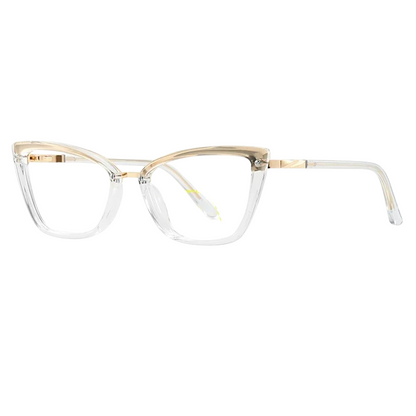 HorizonView Glasses