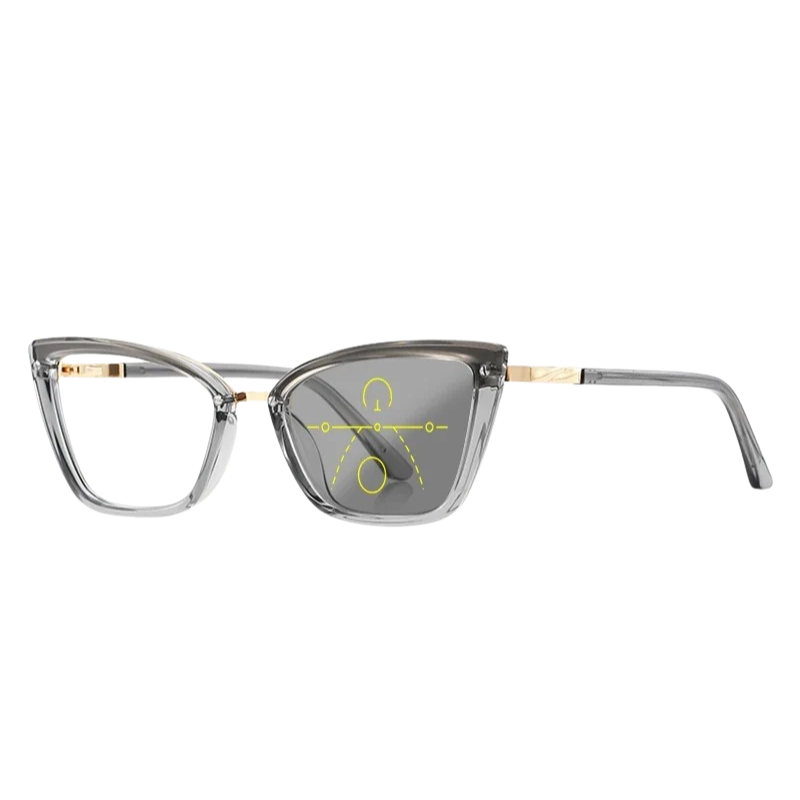 HorizonView Glasses